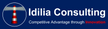 Idilia Consulting - Competitive Advantage through Innovation